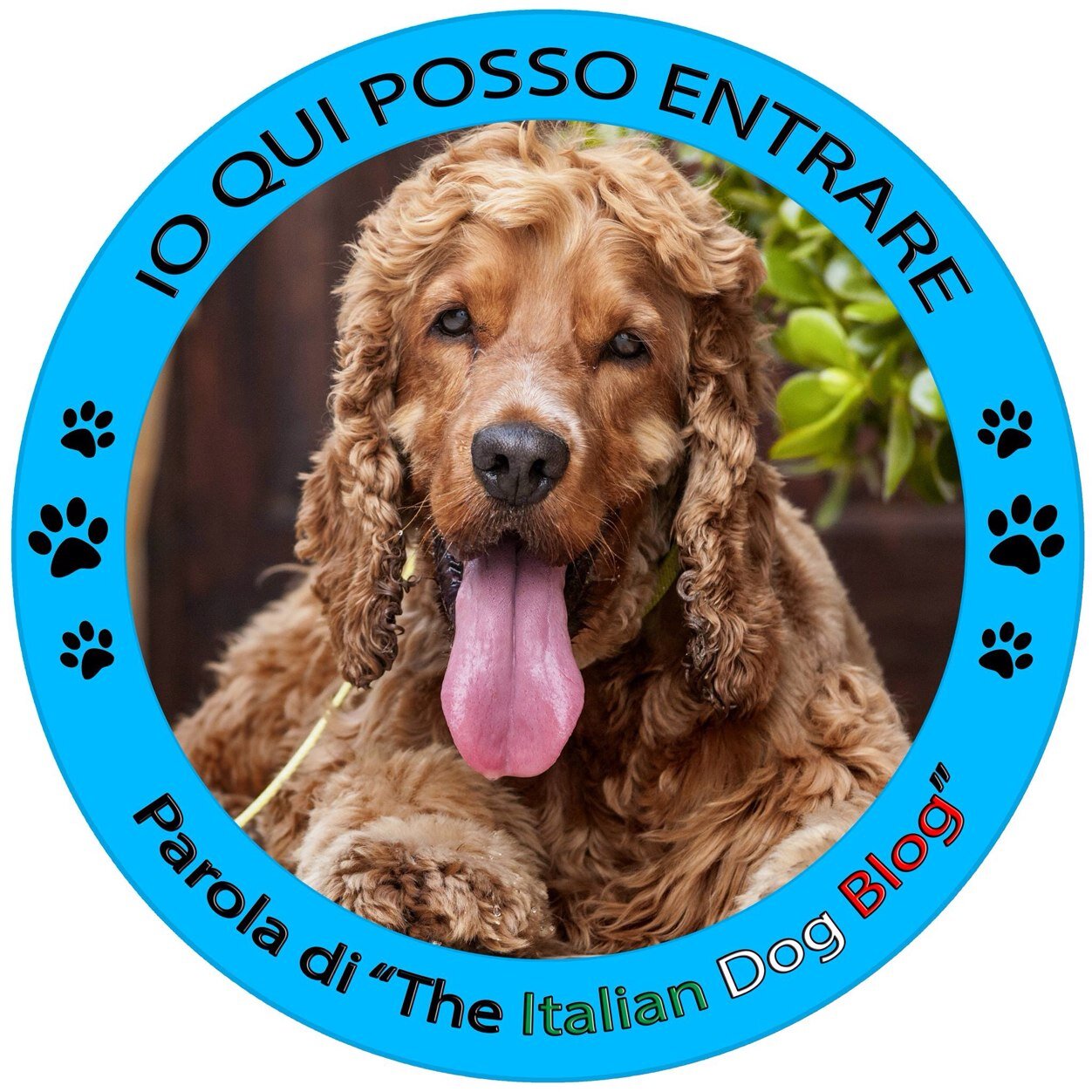 mariacavallo89's profile picture. Semplicemente The Italian Dog Blog