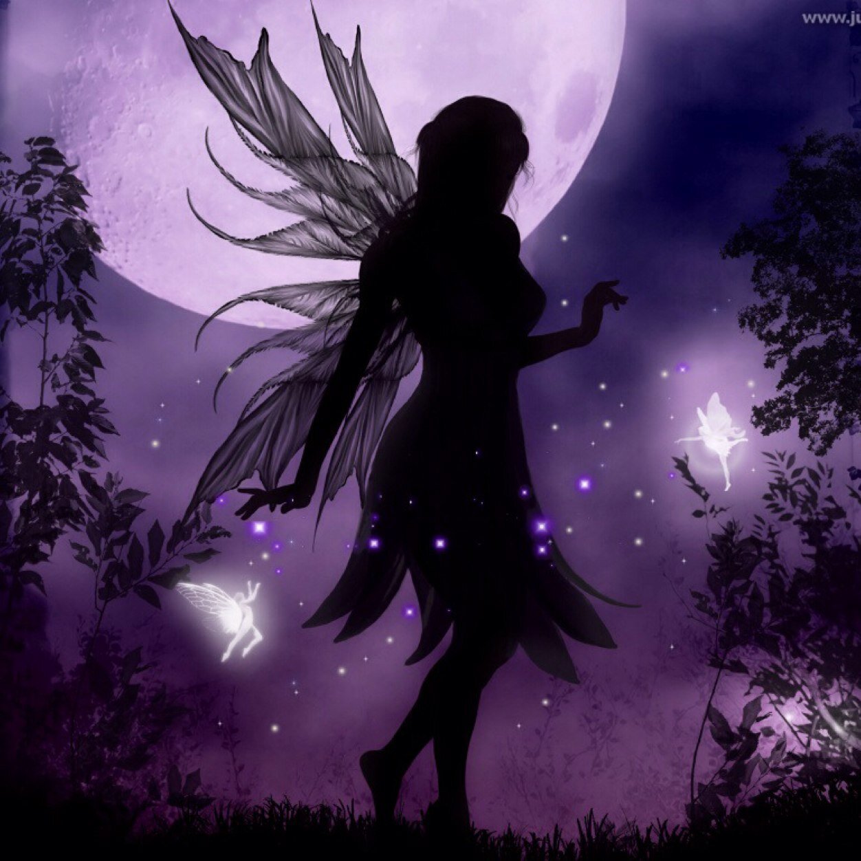Evil raven faery. Preparing a war that will damage man kind. My sister is the queen of Faerie who is the balance of my evil. We created the whole world of