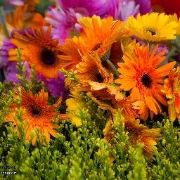 I am a Photographer. see my works at http://t.co/1ZHIcqZiWh