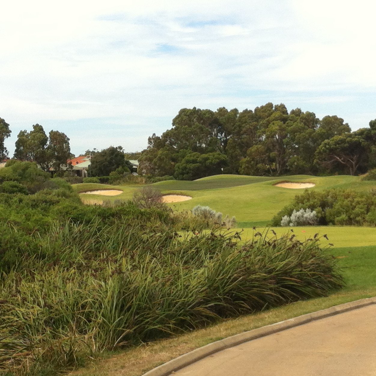 Works in the turf industry ,Lives in Perth,Aust.Husband and Father of 2 girls who loves the Carlton Blues & a try hard golfer...views r my own.