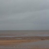 nicola McQuaid (@tileymc) 's Twitter Profile
