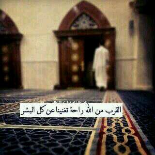 ..tvquran.come