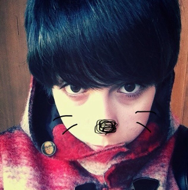 yook sungjae è un gatto. | kurage; melody, starlight, shawol, angel, insprit, baby, a.r.m.y, exo stan. ☆