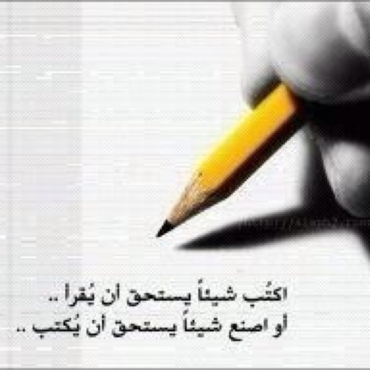 AofmMau23456789's profile picture. 