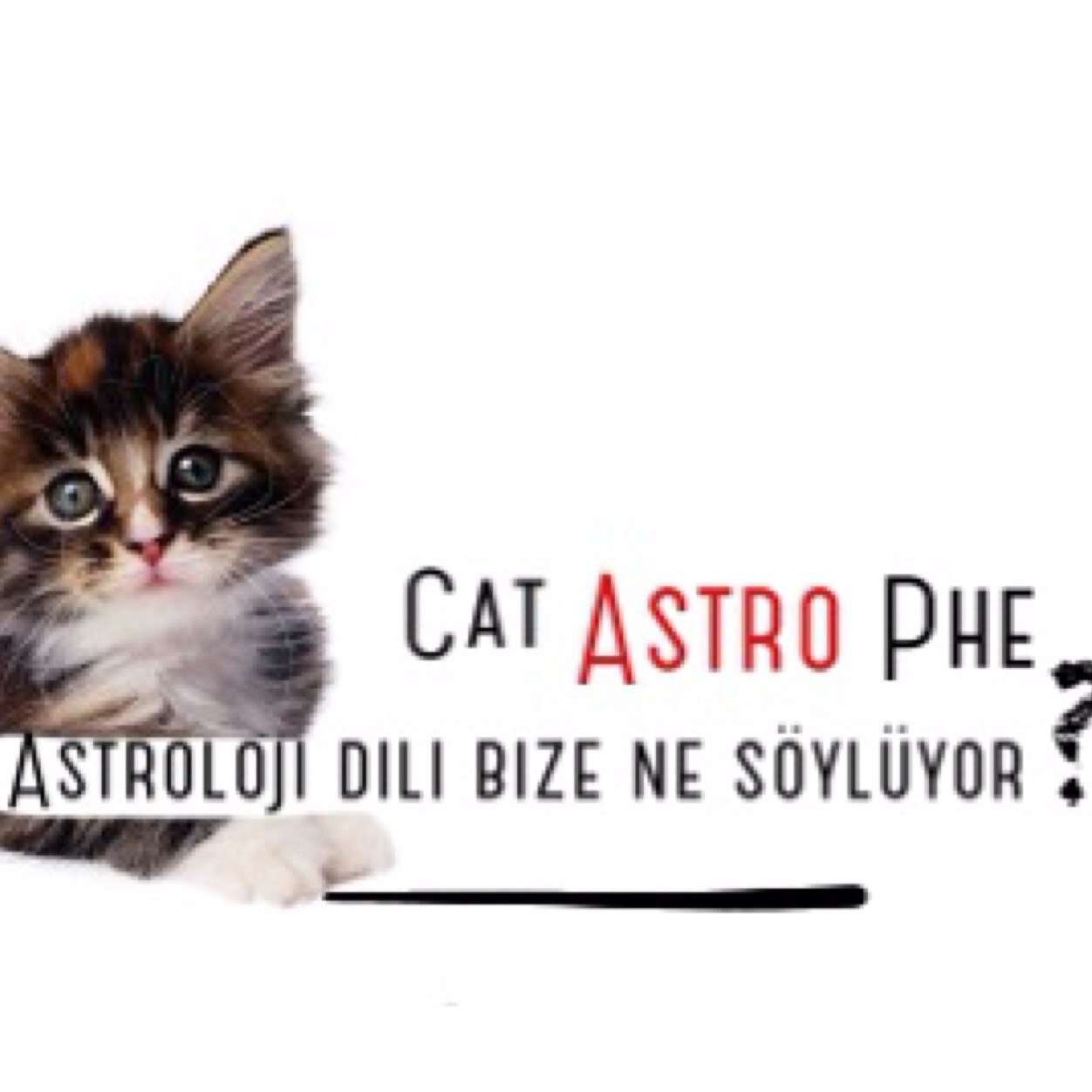 cat AstrO phe