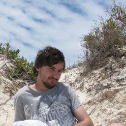 Software Engineer