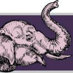 JillDonnelli's profile picture. 