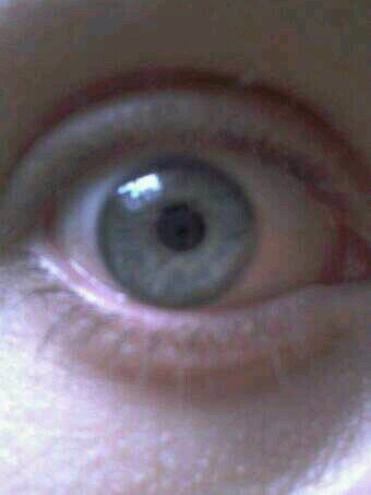 imMorallyGrey's profile picture. .....Rampages , random outbursts and general annoying statements including futile attempts at jokes. YWW (you were warned) #risewiththefallen