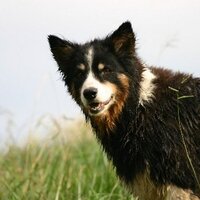 Lori Boyles (@imayfan) 's Twitter Profile Photo