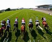 Horse Racing Tipster, I only operateduring Flat Season and specialise in raced 2 year olds. This is my 3rd year running with profits exceeding 7K during 2012/13