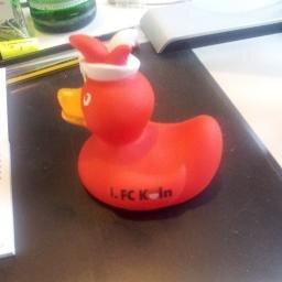 Eine Ente philosophiert über Gott, Fußball und die Welt.