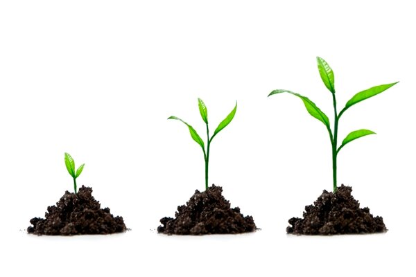 Greenhouse Business Systems is an IT support and solutions company based in Exeter, Devon