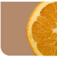 wissen ums essen (@wissenumsessen) Twitter profile photo