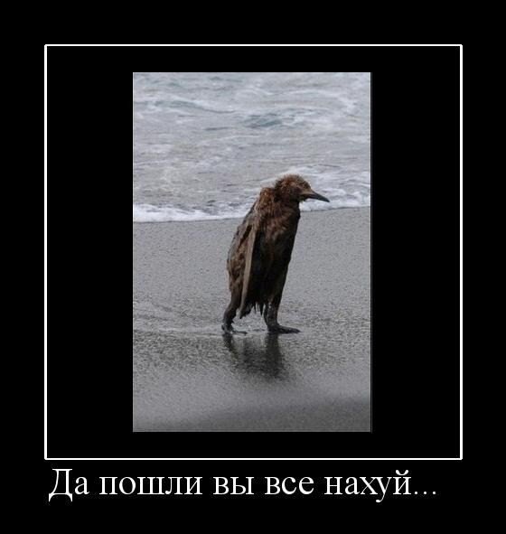 Моя грусть.