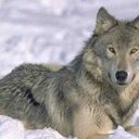 mitchell horner - @mitchellhorner2 - Twitter