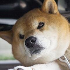 フリーランスで、難しい内容の文章を書いたり、写真を撮ったり、ひっそり暮らしています。
元気に仕事しているのは、平日14:00～17:00あたり。
アポなし電話NG。インボイス登録済み。FP1級等々。
三重県四日市市出身。