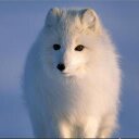 ☆彡Bora - @BoraWon3 - Twitter