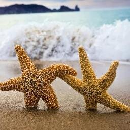 yours_journey's profile picture. Путешествия учат больше, чем что бы то ни было. Иногда один день, проведённый в других местах, даёт больше, чем десять лет жизни дома.