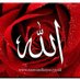 Puasa Nabi Daud (@puasanabidawud) Twitter profile photo
