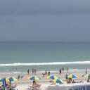 Alice Williamson - @afw1955 - Twitter