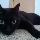 Sarah Teter - @Ben_Cat11 - Twitter