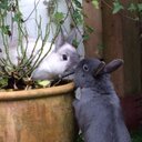 Daniel Wootton - @Dan_studio15 - Twitter