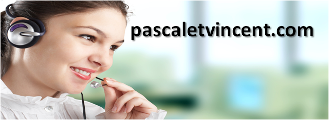 pascaletvincent's profile picture. Expert en distribution de produits IT/MULTIMEDIA/EGP