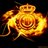 RMallorcaFans's profile image