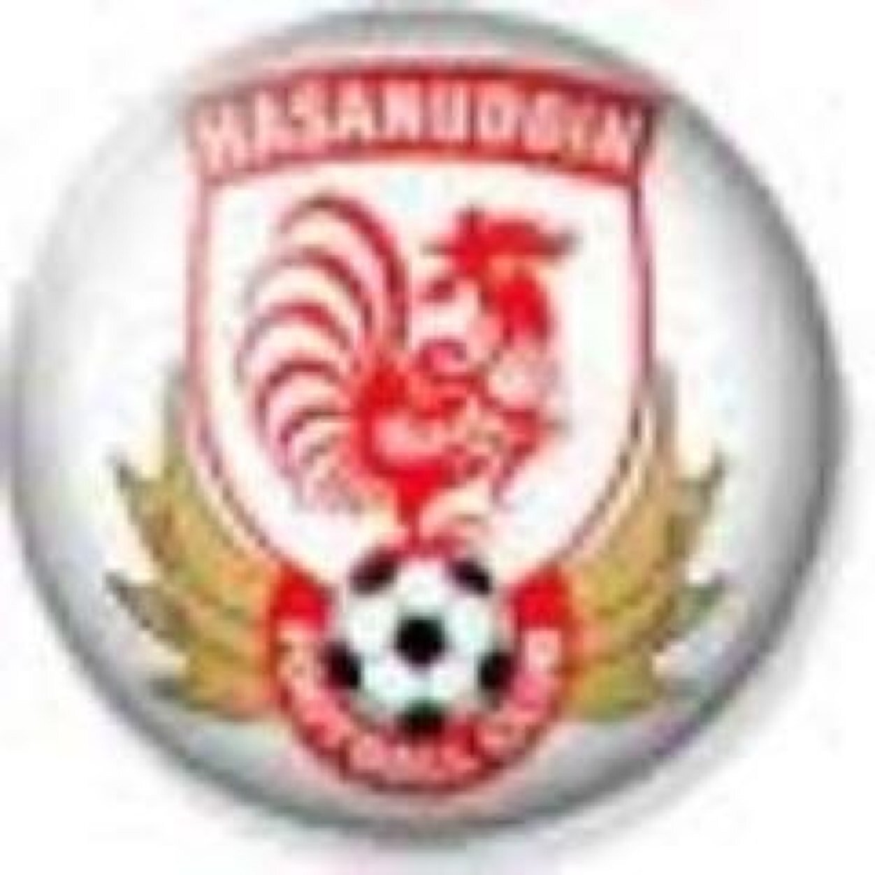 @hasanuddinFc