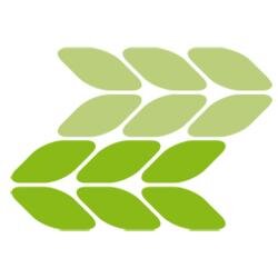 IT for Green