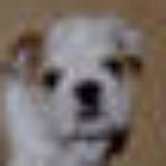 kaoks6's profile picture. 