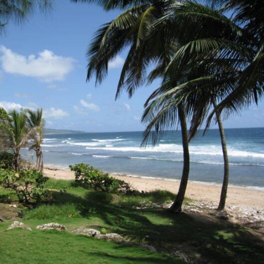 BestBarbados's profile picture. Barbados #Travel Guide: things to do, places to stay, Island attractions...Information to help make your  trip to #Barbados your  'Best Barbados Holiday'