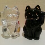 Aya☆nuna さんのプロフィール写真