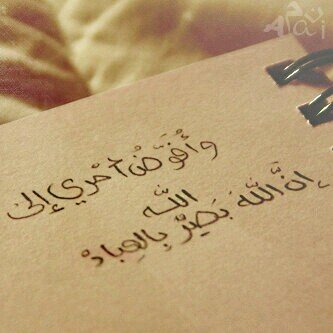 ‏‏‏‏‏‏‏ام وزوجة .. اسرتي اهم اولوياتي  .. ..اللهم اغفر لابي واخي واختي و عمي واجعل قبرهم روضة من رياض الجنة