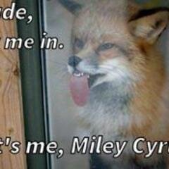 LMcatasney's profile picture. hey i look to live a simple easy life but people make that VERY hard yay