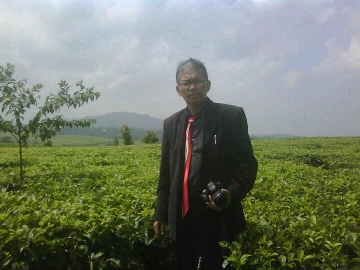 gandisuwarno12's profile picture. 