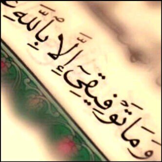 alquaizany's profile picture. 