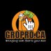 GROPRO Truro (@GROPROtruro) Twitter profile photo