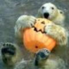 мода, креатив, дизайн #followback + #instantfollow