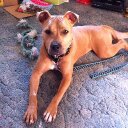 John Klingler - @JohnKlingler - Twitter