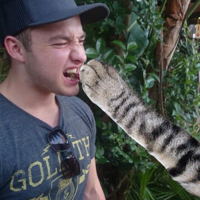 Cat person. Bulldog owner. Weird iTunes library. Horrible golfer. Even worse guitarist. Wannabe fit person. Lover of sport, carbs, and ex-Disney child stars.