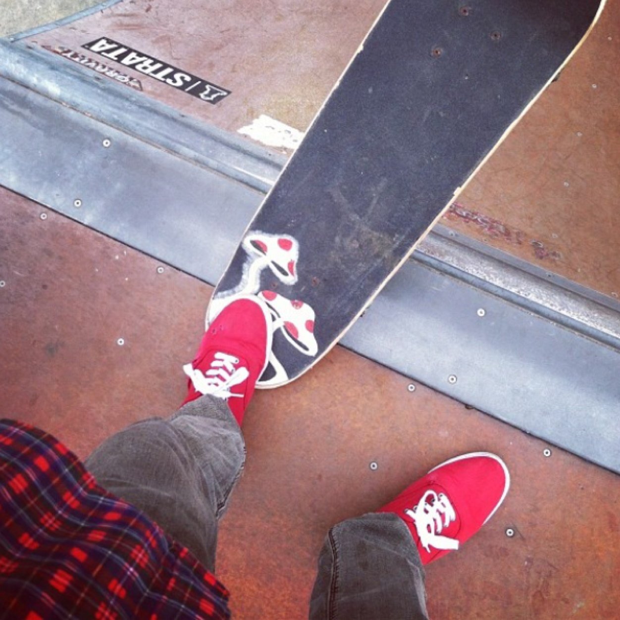 I'm on a mission. 
Instagram:Hmblhaz