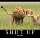 tyler wallen - @tylerwallen1 - Twitter