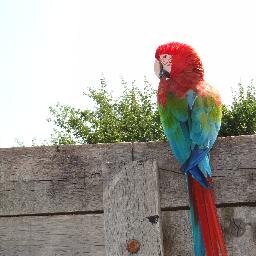 Paisible retraité...juste quelques petites colères de temps en temps quand le monde des vivants est vraiment trop c...
