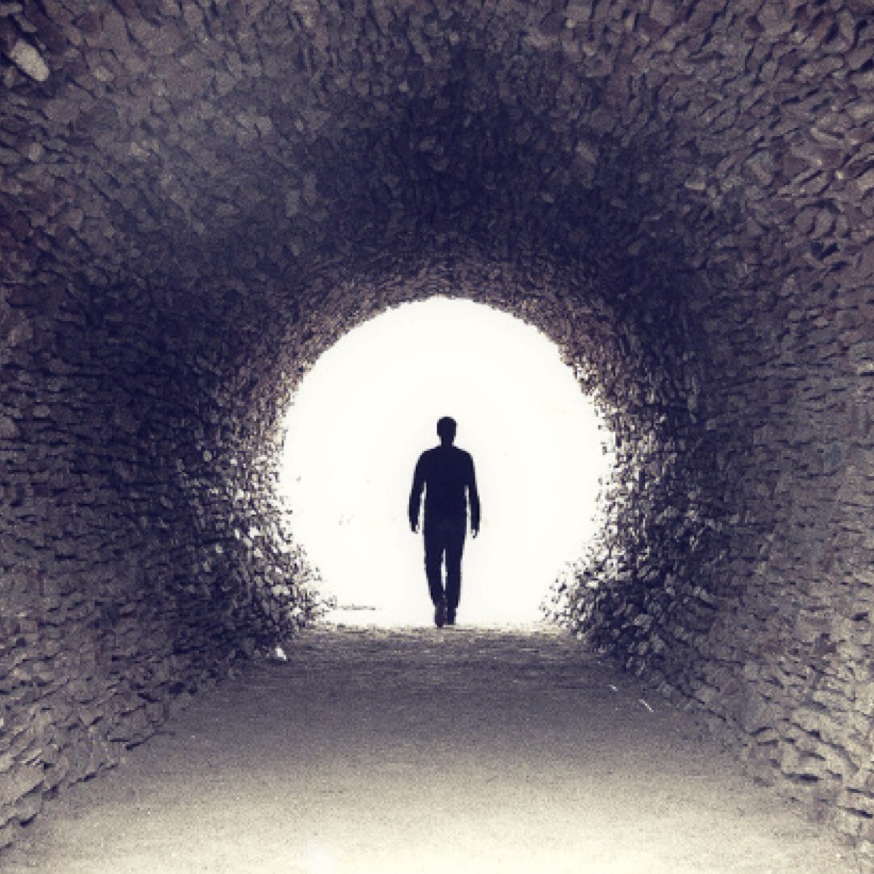 nishmuthu's profile picture. 