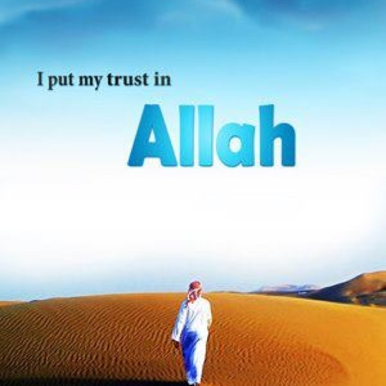 mhdchafic's profile picture. 