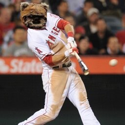 ewokoff's profile picture. Husband, Father, and lover of all things Baseball!