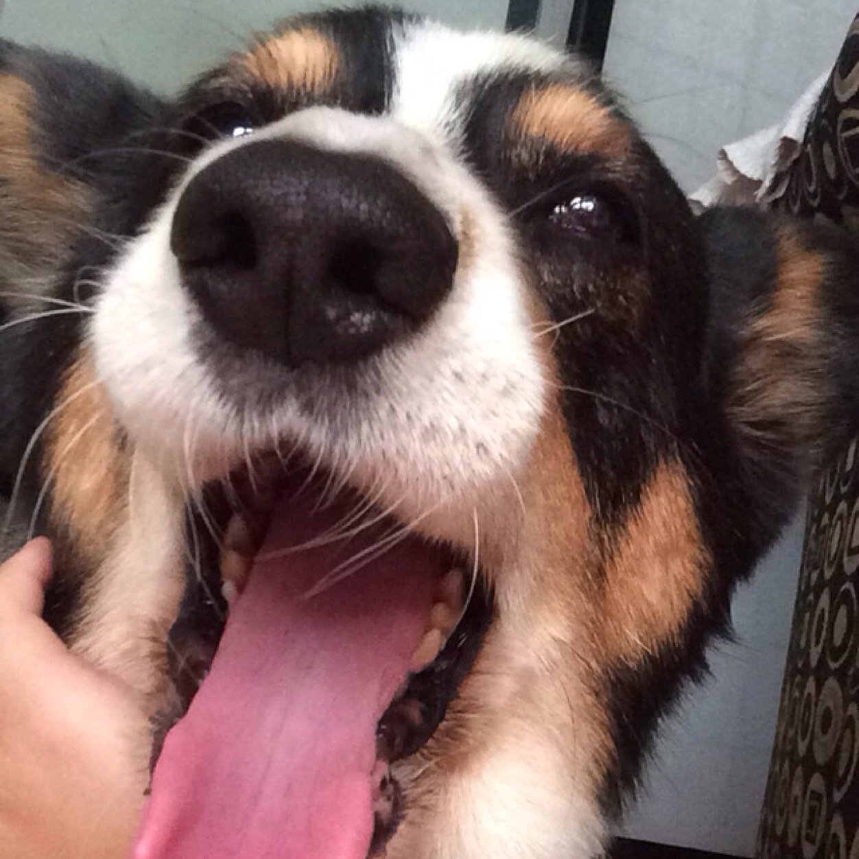 SSKAKBY's profile picture. 