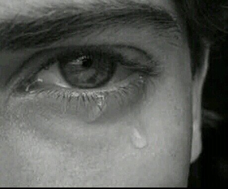 ThePeopleFeelit's profile picture. Todos tenemos un momento en nuestra vida en la que solo queremos hablarles a extraños a los que no les importa nuestra vida. Viva la libertad de sentimientos!