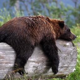 PaloAlto_es's profile picture. The official Palo Alto, California Twitter page.